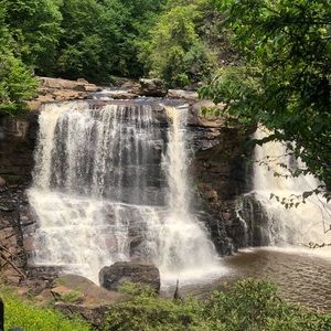 Meet your Posher, Carole